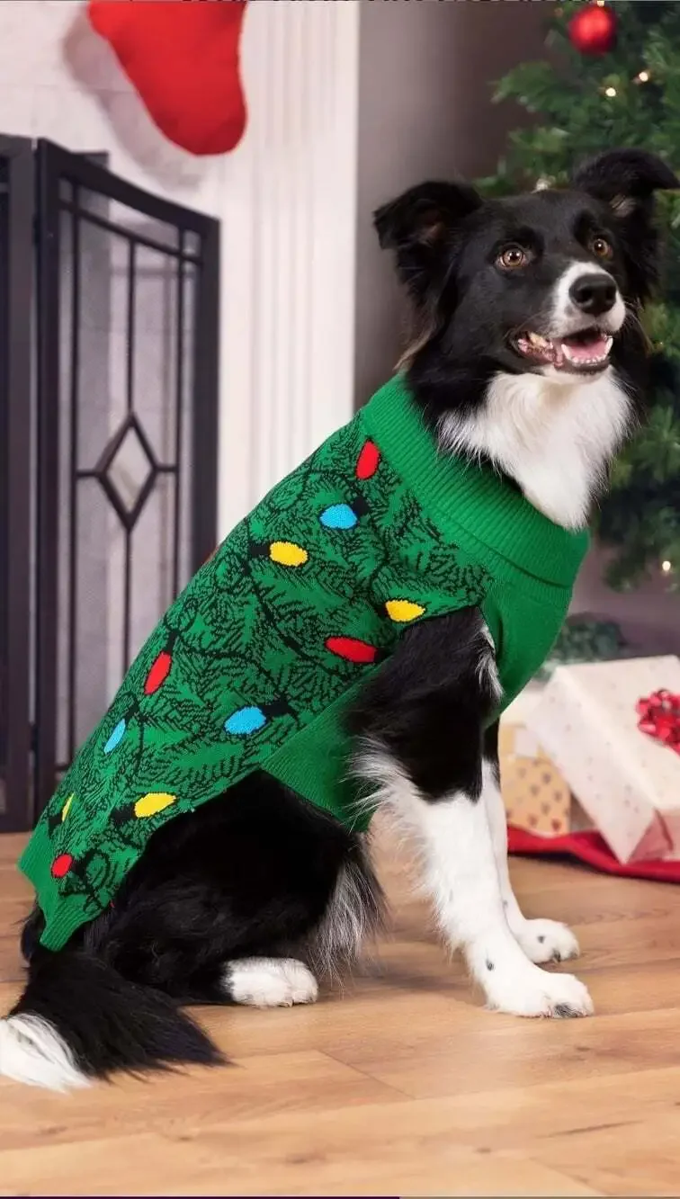 Fun introducing holly